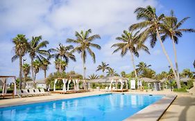 Oasis Belorizonte